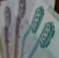 Сначала деньги, потом товар: аферистка из Иркутской области продавала через интернет экзотические растения. - Комсомольская правда