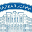 Омбудсмену в Иркутской области пригрозили судом за попытку отмены выборов БГУ - Газета Областная