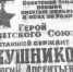 Боевые подвиги иркутянина Георгия Скушникова  - Газета Иркутск