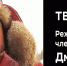 Обладатель премии «ТЭФИ-регион» Дмитрий Слободчиков  встретится с иркутскими зрителями - Газета Областная