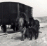 Критическая ситуация зимы 1904 года заставила министра Хилкова искать решения, которые могли бы максимально увеличить пропускную способность Байкальской переправы. Наряду с уже работающим гужевым транзитом железнодорожники в лютый мороз проложили по льду озера рельсовый путь для перекатки вагонов от станции Байкал до станции Танхой. Вагоны пустили на конной тяге - Газета Пятница