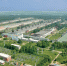 _________thumb_main - Sibnovosti.ru