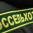 Иркутская область в 2,5 раза увеличила экспорт подконтрольной ветеринарному надзору продукции - Сибирские новости