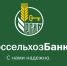 Развитие российского птицеводства обсудили на второй отраслевой агросессии РСХБ - ИА Байкал Инфо