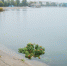 Повышение уровня воды в Ангаре в Иркутске. Фото Маргариты Романовой, IRK.ru - Irk.Ru