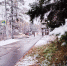 В Иркутске. Фото Маргариты Романовой, IRK.ru - Irk.Ru
