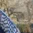 2271529.jpg - IrkutskMedia.Ru