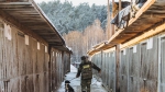 Собачье дело
