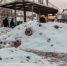 2383977.jpg - IrkutskMedia.Ru