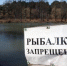 На реках Приангарья на время нереста установлены ограничения на вылов рыбы - Baikal24.Ru
