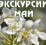 График экскурсий на май - Краеведческий музей