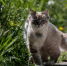2436701.jpg - IrkutskMedia.Ru