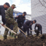 Полицейские высадили яблони и барбарис на улице Героя РФ Алексея Рыбака в Иркутском районе - ИА Ирсити