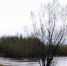 В Тайшетском районе поднялась вода в реке Бирюсе - Baikal24.Ru