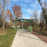 Площадь городских лесов Иркутска планируют увеличить на 22 гектара - Сибирские новости