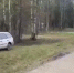 Пьяный лихач устроил погоню с полицейскими возле Ангарска - Baikal24.Ru