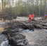 _______thumb_main - Sibnovosti.ru