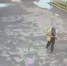 В Братске служебная собака помогла разыскать без вести пропавшего ребенка - Weacom.Ru