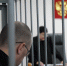 За жестокую расправу над щенком на глазах у детей сибиряка осудили на 2 года - Комсомольская правда