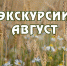 Приглашаем на экскурсии в августе - Краеведческий музей