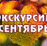 Приглашаем на экскурсии в сентябре - Краеведческий музей
