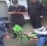 Ударила по лицу и укусила за руку: проверку по двум случаям нападения женщин на полицейских проводят в регионе - Nts-Tv.Ru