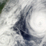 2604731.jpg - IrkutskMedia.Ru