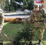 В Иркутской области военнослужащие Росгвардии присоединились к Всероссийскому экологическому субботнику «Зеленая Россия» - Росгвардия