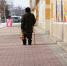 2689584.jpg - IrkutskMedia.Ru