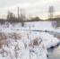 Фото с сайта ОНФ - Irk.Ru