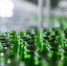 Carlsberg и Heineken объявили о продаже бизнеса в России - Weacom.Ru