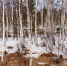 Весна на Байкале - АИСТ ТВ