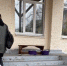 В городе Шелехове Иркутской области школьников воспитывают тазиком с водой - Baikal24.Ru