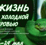 Выставка о холоднокровных позвоночных животных начнет работу в отделе природы краеведческого музея - Краеведческий музей