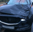 Лошадь попала под колеса автомобиля на федеральной трассе «Сибирь» - ИА ИркСиб
