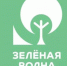 РУСАЛ подвёл итоги ежегодной экологической акции «Зелёная волна» - Сибирские новости