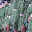 2966800.jpg - IrkutskMedia.Ru