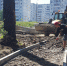 Фото пресс-службы Администрации Иркутска - Nts-Tv.Ru