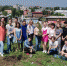 Саженцы  от выпускников - Восточно-Сибирская правда