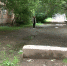 "А у нас во дворе": суровый двор в переулке Пограничном - Nts-Tv.Ru