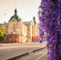 Лето в Иркутске. Фото Маргариты Романовой, IRK.ru - Irk.Ru