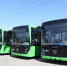 Первая партия новых комфортабельных городских автобусов прибыла в Иркутск 9 августа - ИА ИркСиб