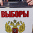 Фото предоставлено пресс-службой Избирательной комиссии Иркутской области - НИА Байкал
