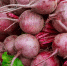 1 сентября: На Феклу начинали уборку свеклы - IrkutskMedia.Ru