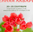 Фото предоставлено пресс-службой музея - НИА Байкал