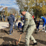 Более 150 саженцев высадили возле стелы «Иркутск – город трудовой доблести» - Газета Иркутск