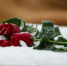 3158070.jpg - IrkutskMedia.Ru