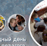Международный день социального педагога - ВСГАО