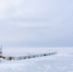 3283933.jpg - IrkutskMedia.Ru