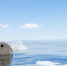 3314752.jpg - IrkutskMedia.Ru